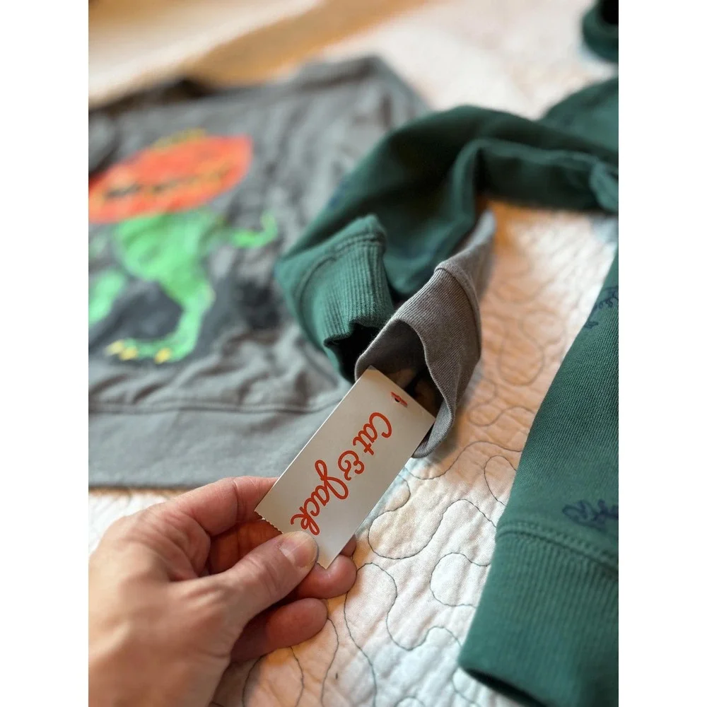 Boys' Dinosaur‎ Halloween Shirt & Hoodie Set Size 5t & 4-5 #409